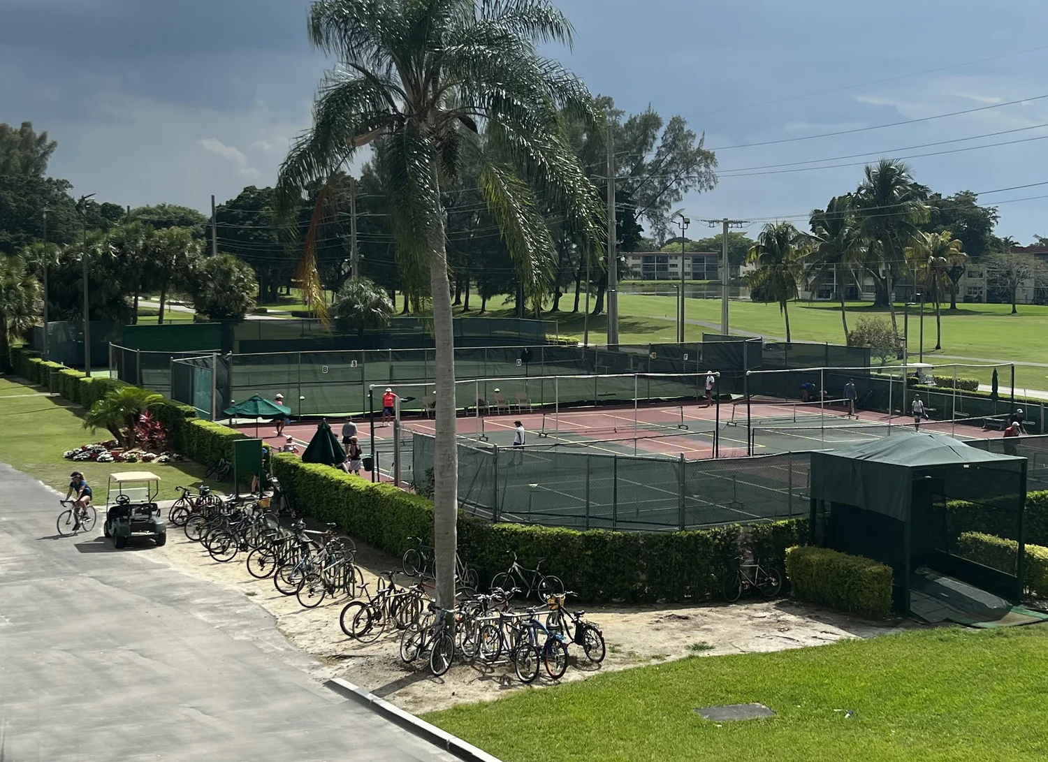 Pickleball courts